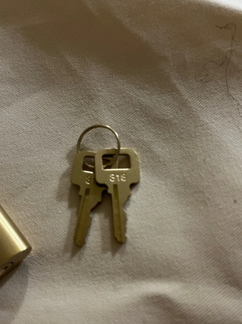 Louis Vuitton Silver Tone Padlock with Keys